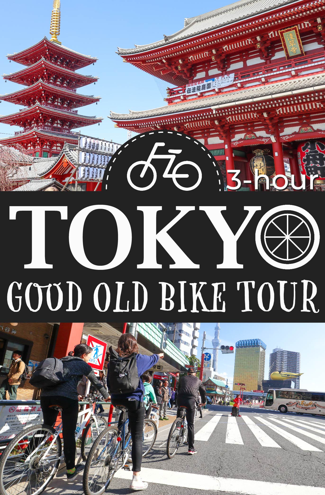 Small-Group Tokyo Biking Tour