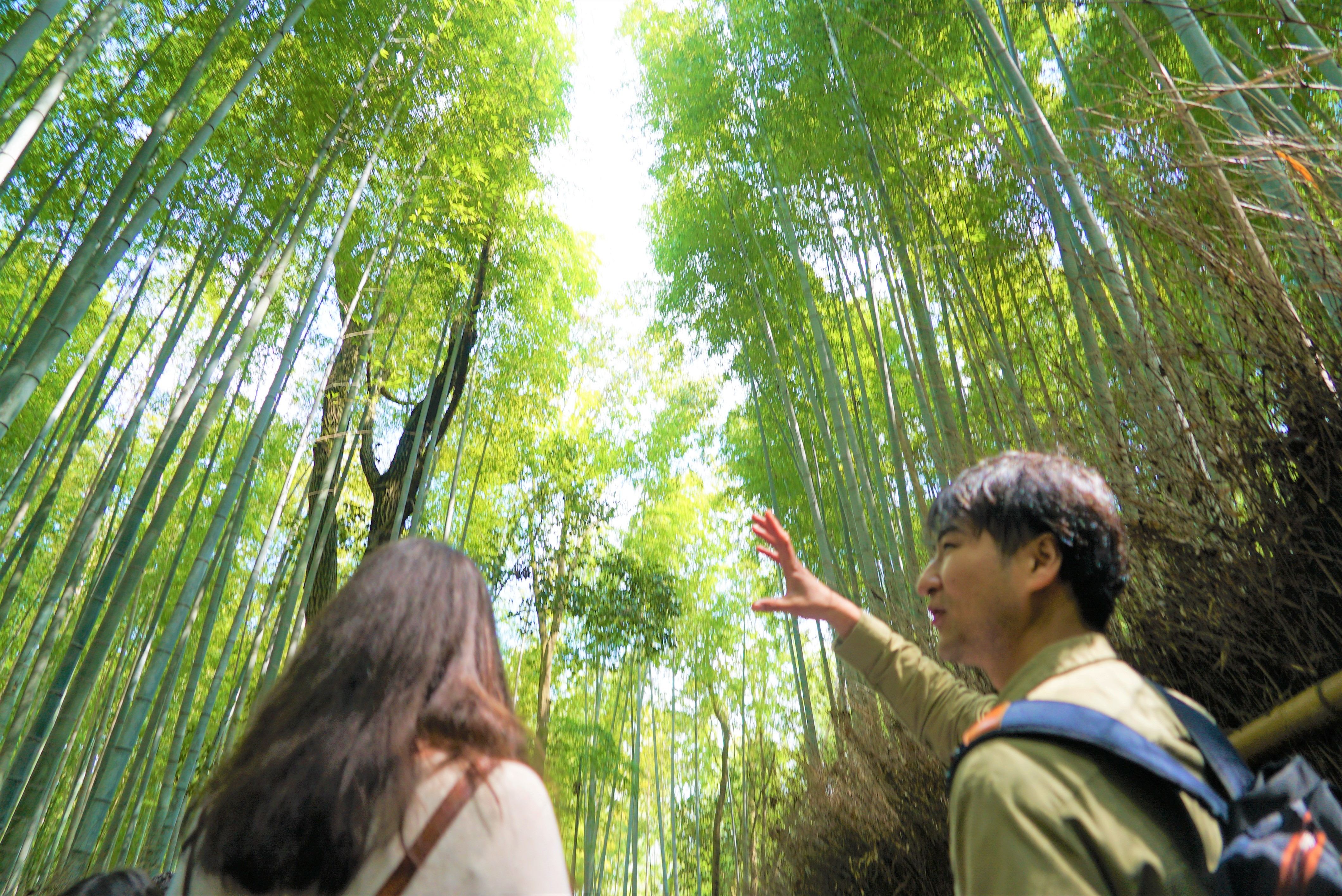 Top Kyoto Local Guided Tours & Things to do - Small Group Tours |  MagicalTrip