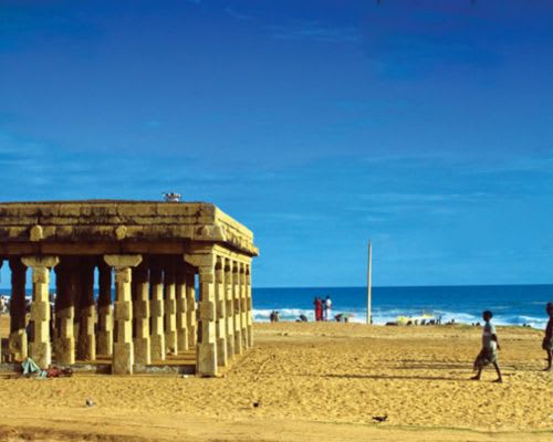 Gallery image 4