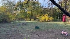 Eladó Családi ház Szeged, Kundombi utca - hirdetés képe 9