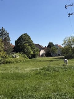 Eladó Telek Szeged, Tambura utca - hirdetés képe 2