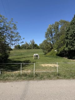 Eladó Telek Szeged, Tambura utca - hirdetés képe 5