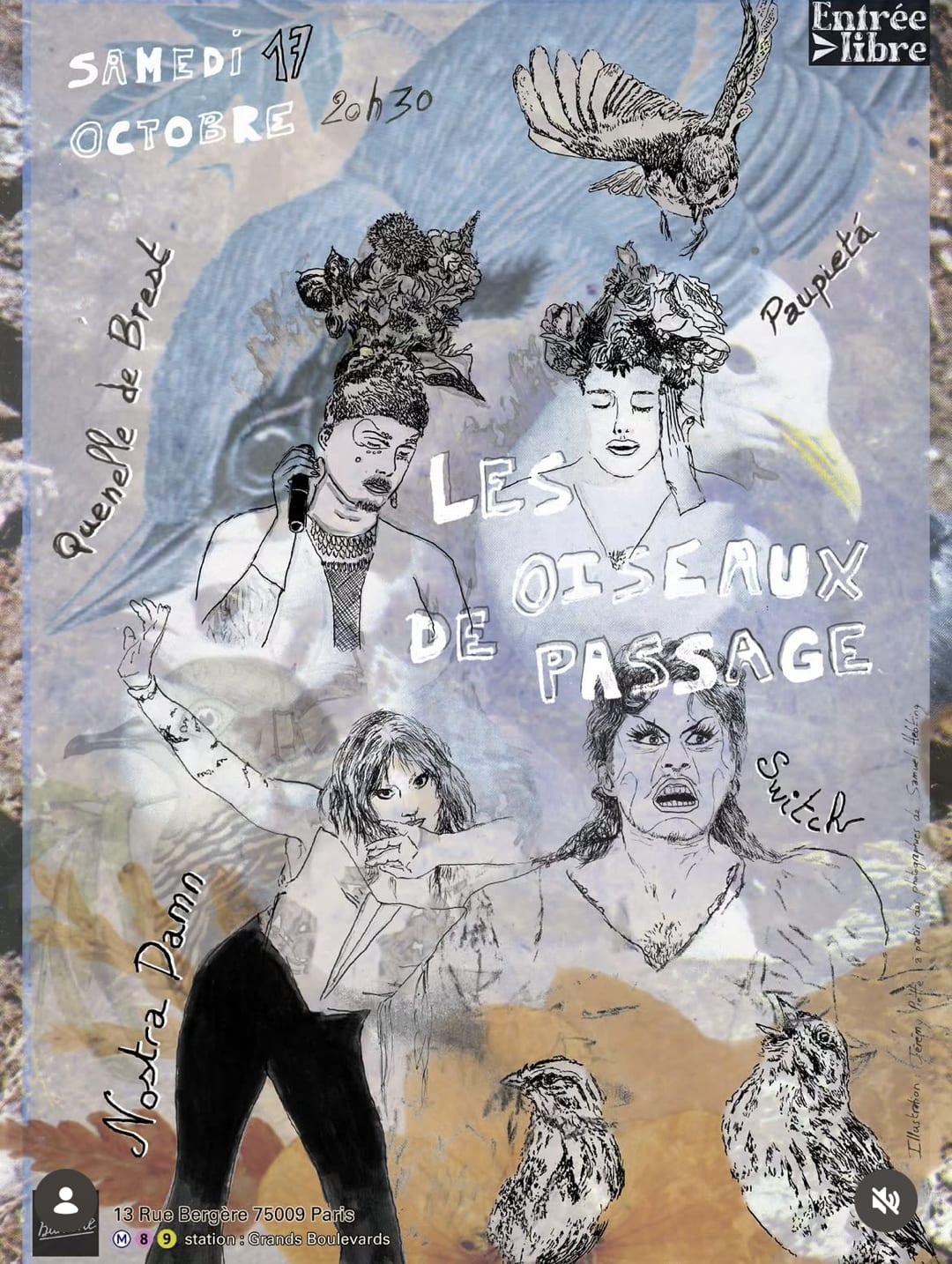 LES OISEAUX DE PASSAGE