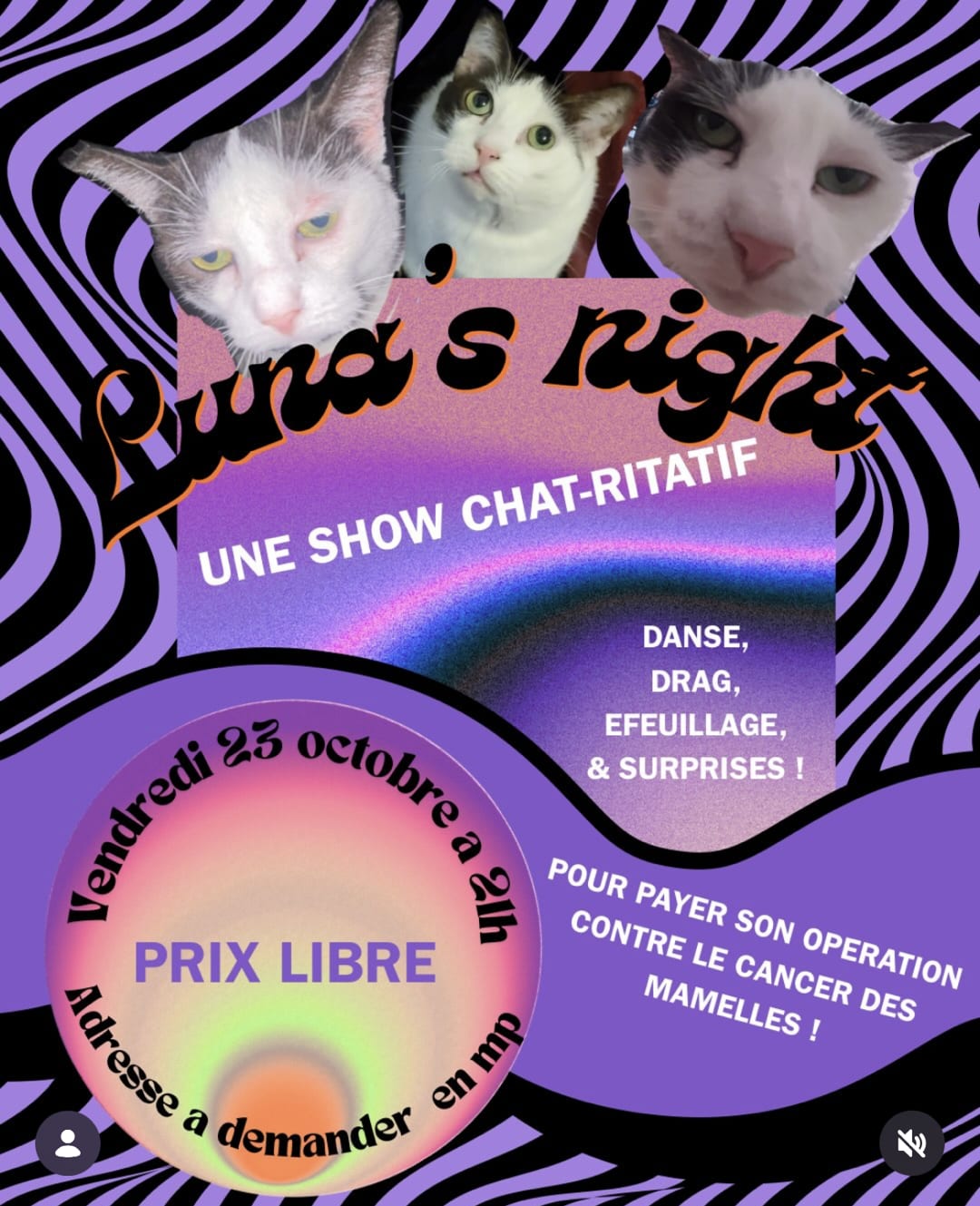 LUNA ´S NIGHT