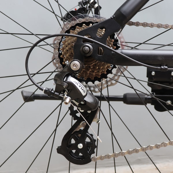AVALANCHE M/S (ALTUS)