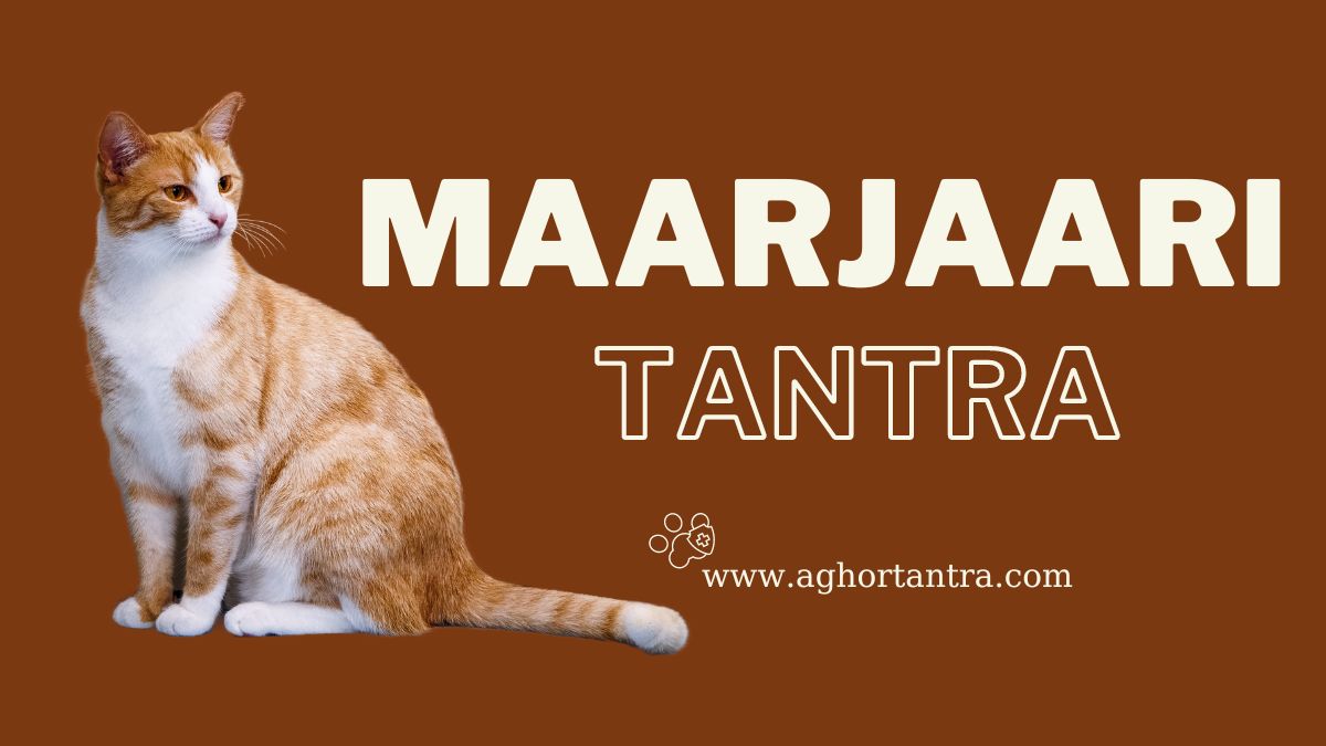 Maarjaari Tantra