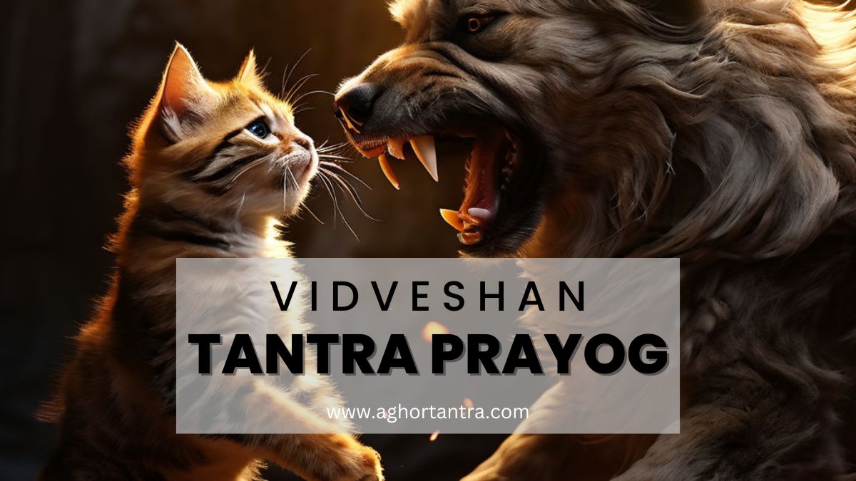 Vidveshan tantra prayog