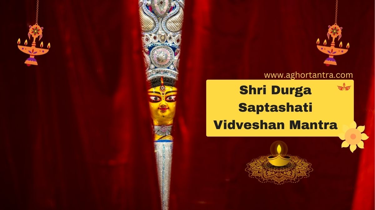 Shri Durga Saptashati Vidveshan Mantra