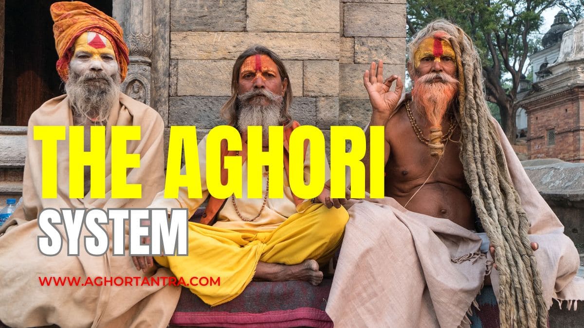 The aghori system