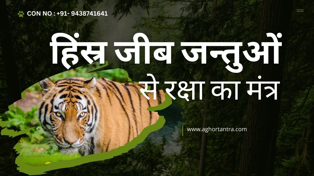 Hinsra jeeb janthun se raksha ka mantra