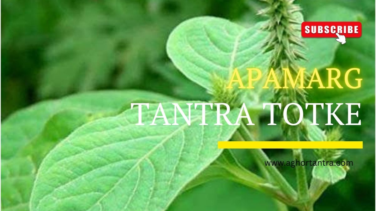 Apamarg Tantra Totke Se Vashikaran
