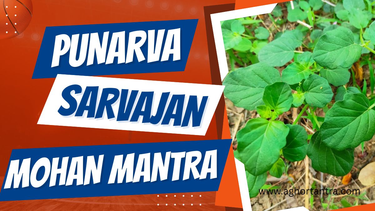Punarva Sarvajan Mohan Mantra