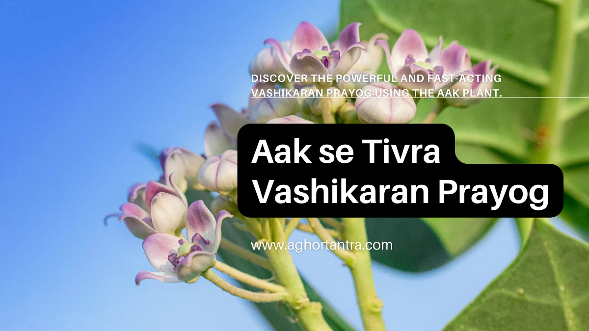 Aak se Tivra Vashikaran