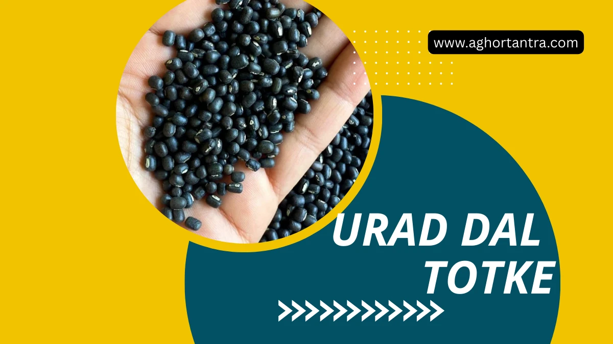 Urad Dal Totke in Hindi