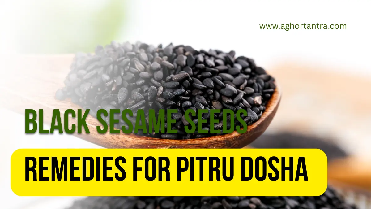Black Sesame Seeds Remedies