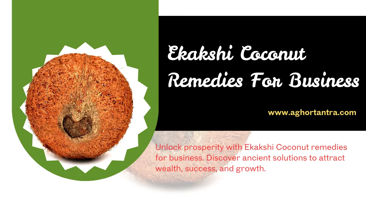 Ekakshi Coconut Remedies For Business