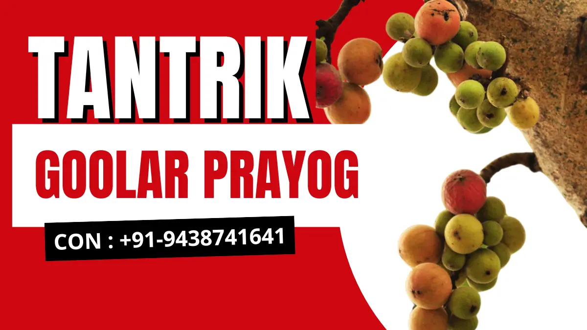 goolar prayog