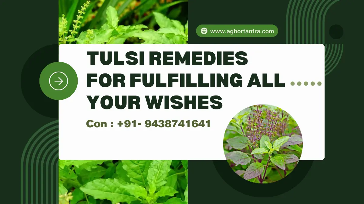 Tulsi Totke For Fulfilling All Your Wishes