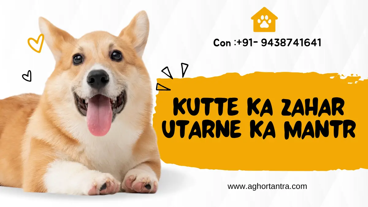 Kutte Ka Zahar Utarne Ka Mantra