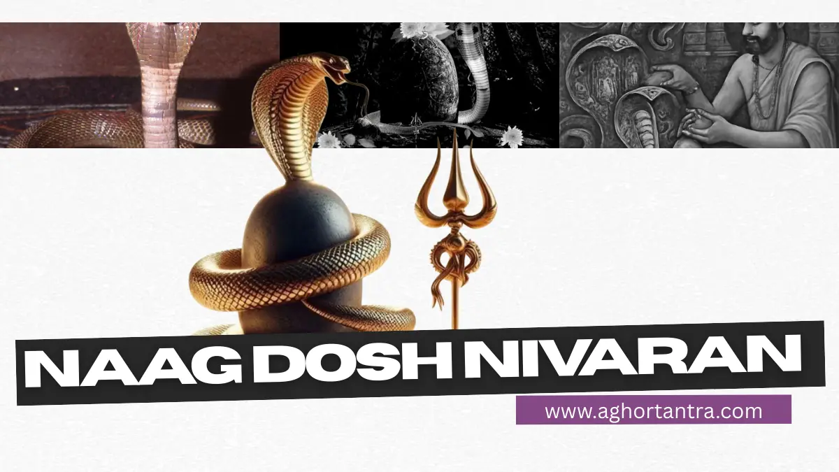 Remedies for Naag Hatya Dosh