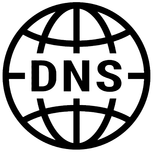 Domain & DNS Configuration icon