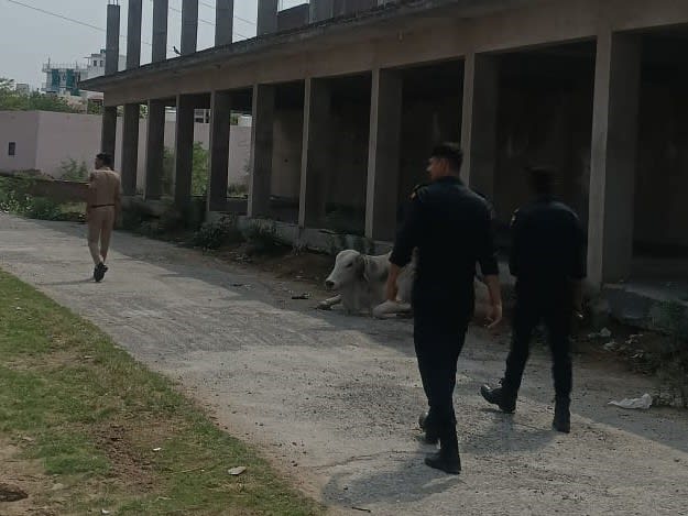 नारनौल | संदिग्ध ठिकानों पर पुलिस और कमांडो की सघन छापेमारी : नशा व अपराध पर कसा शिकंजा