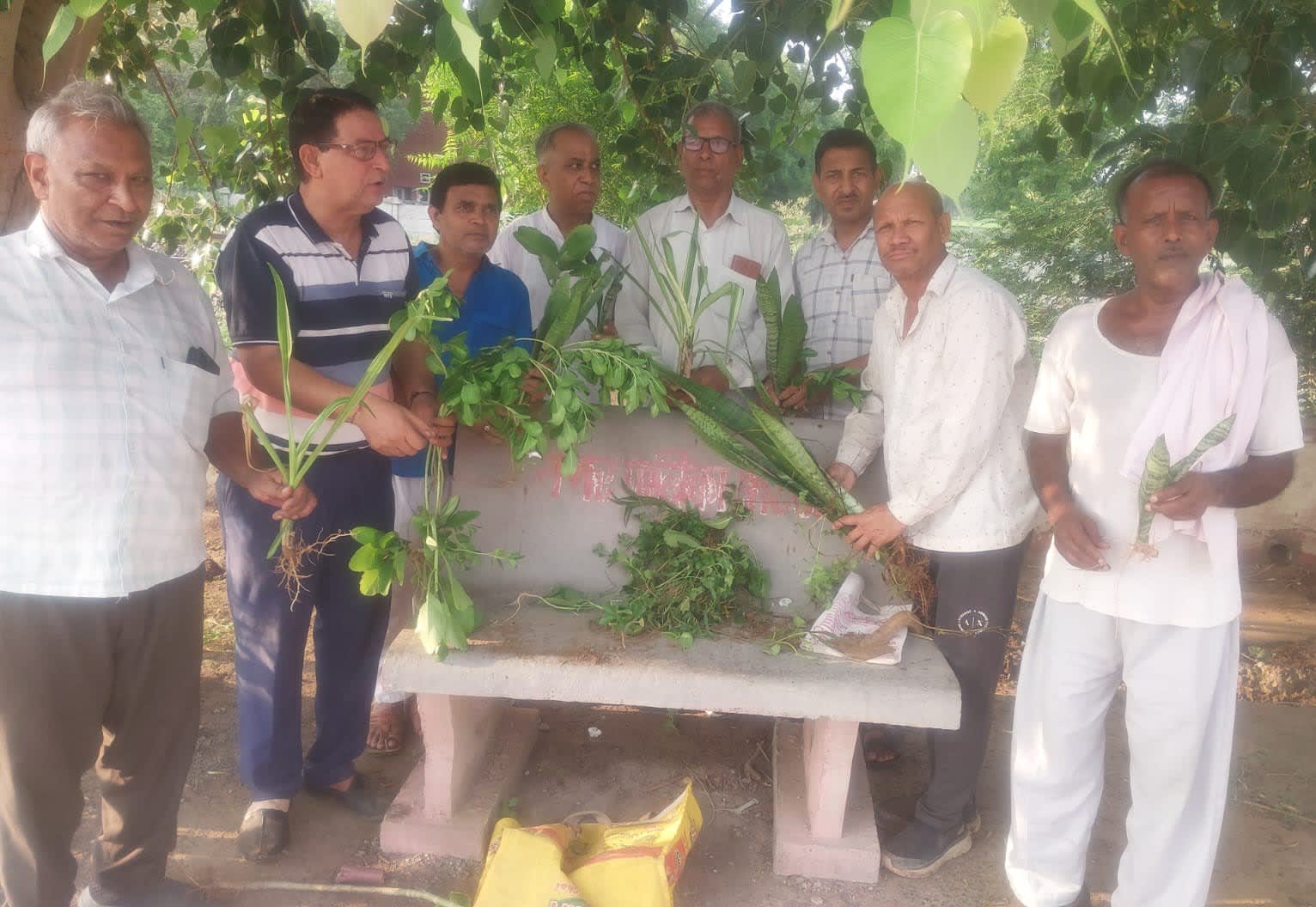 अटेली | रेलवे स्टेशन पर वन महोत्सव : एक पेड़ मां के नाम अभियान के तहत हुआ पौधारोपण