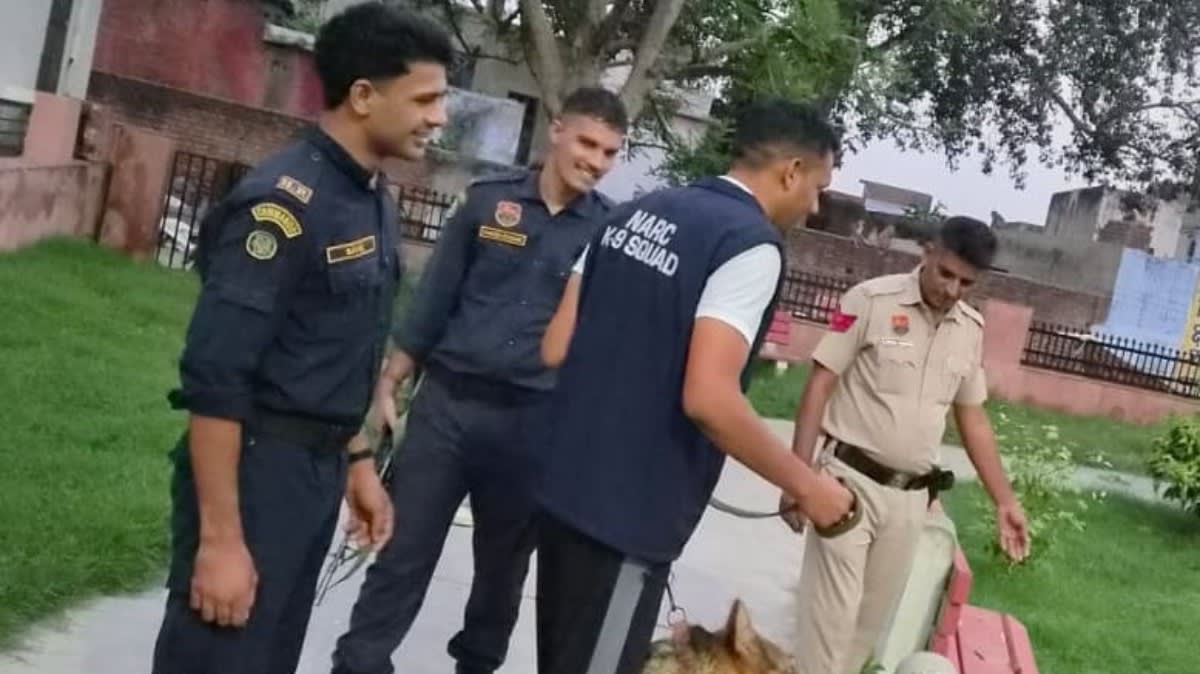 नारनौल | पुलिस और कमांडो टीम का संयुक्त सर्च अभियान : सार्वजनिक स्थानों पर असामाजिक तत्वों की जांच | नशा करने वालों पर सख्त कार्रवाई की चेतावनी