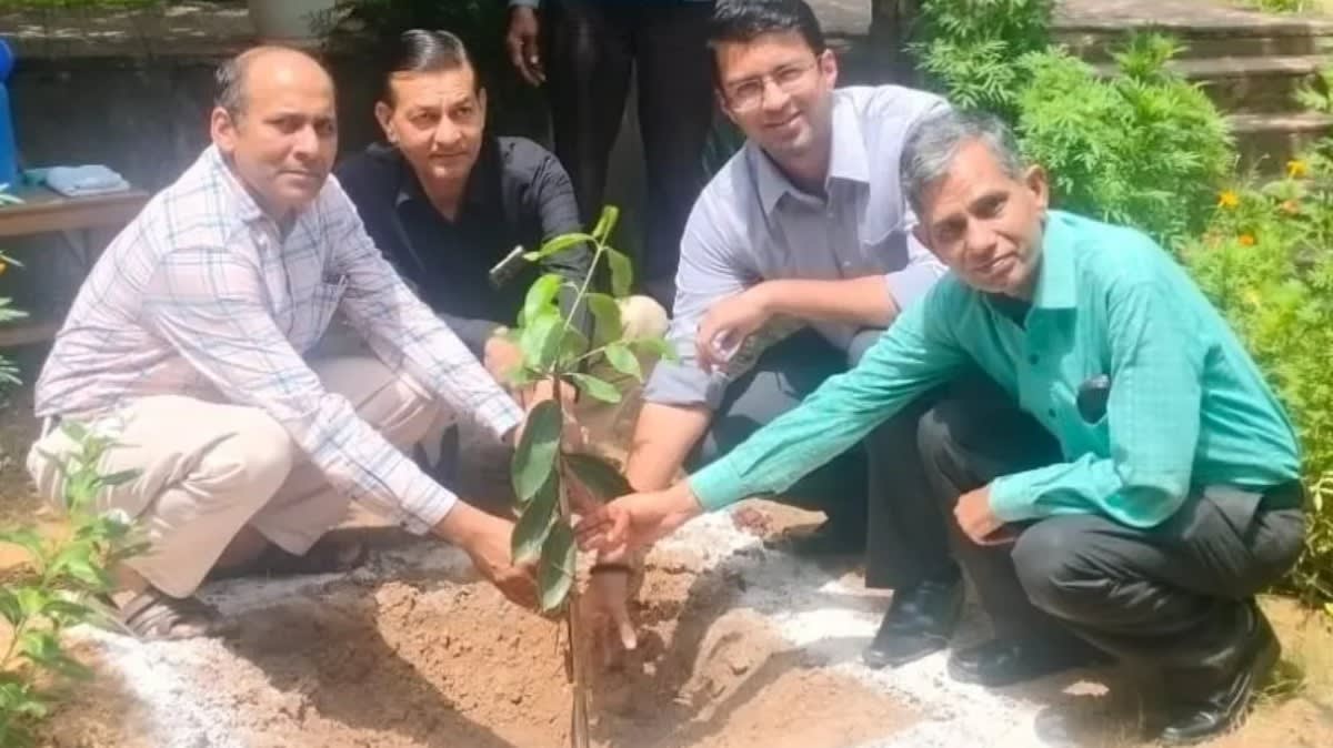 नारनौल | युवा देश की सबसे बड़ी ताकत : शिक्षा के साथ सामाजिक सरोकारों से भी जुड़ें | एसडीएम अनिरुद्ध यादव | रेडक्रॉस इंटर्नशिप कार्यक्रम का भव्य समापन