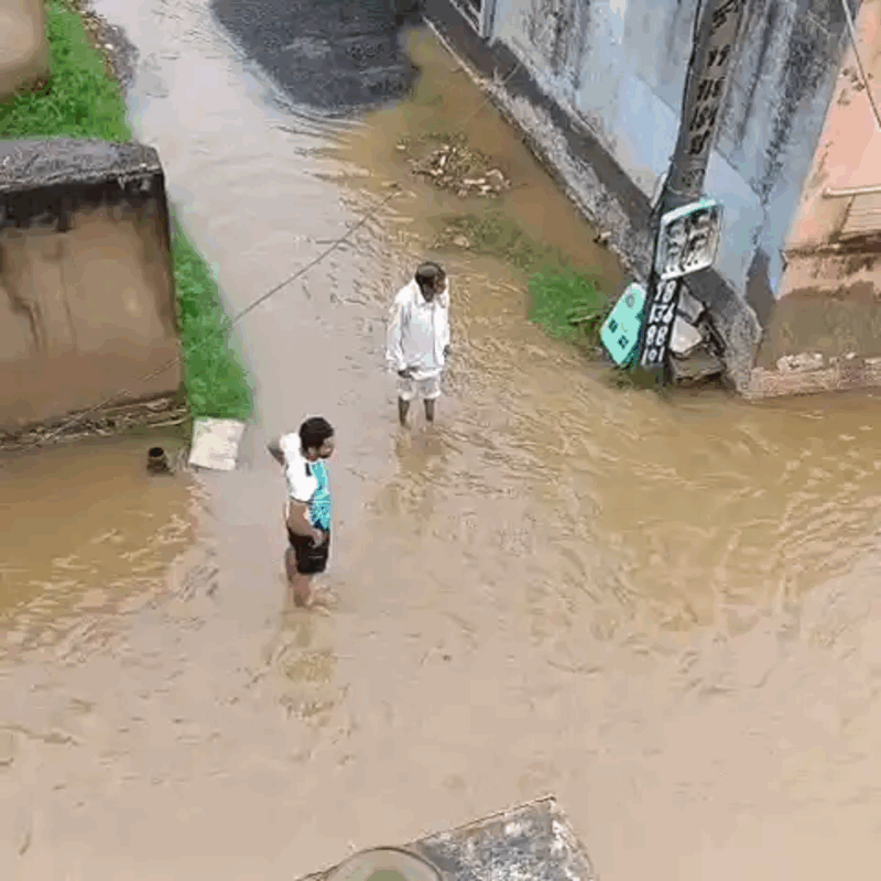 निजामपुर में झमाझम बारिश : किसानों के खिले चेहरे | खेतों में लौटी रौनक | फसलों के लिए बनी वरदान