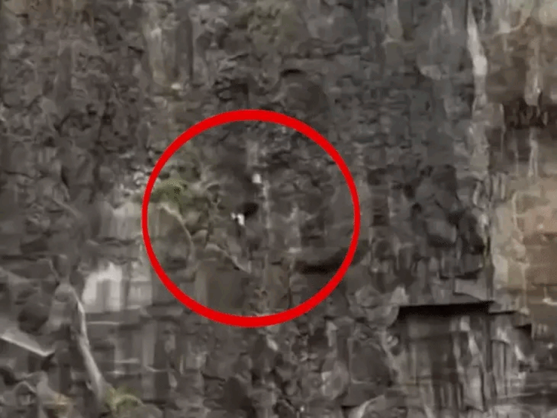महाराष्ट्र पहाड़ हादसे में नया दावा : आईफोन वाली बात से परिवार का इनकार | पारिवारिक विवाद की बात आई सामने | पुलिस जांच जारी