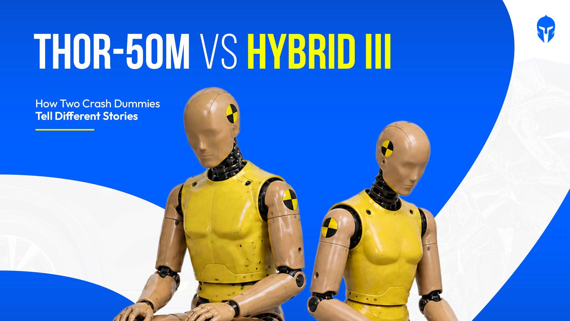 THOR-50M and Hybrid III 50M crash test dummies compared side by side