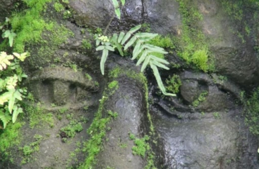 Zázračná uzdravení - léčit se dá vše