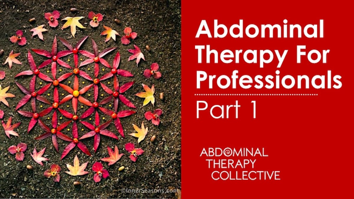 Abdominal Therapy for Profesionals Part 1