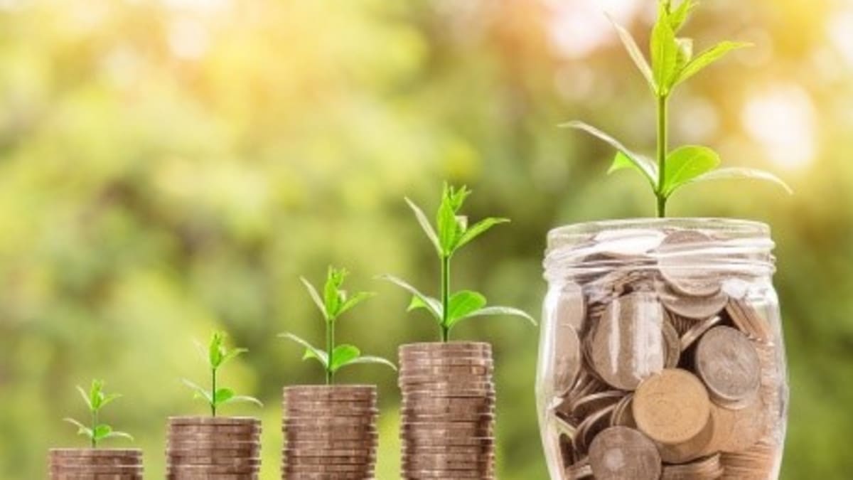 Finanční gramotnost podle přírodních zákonů