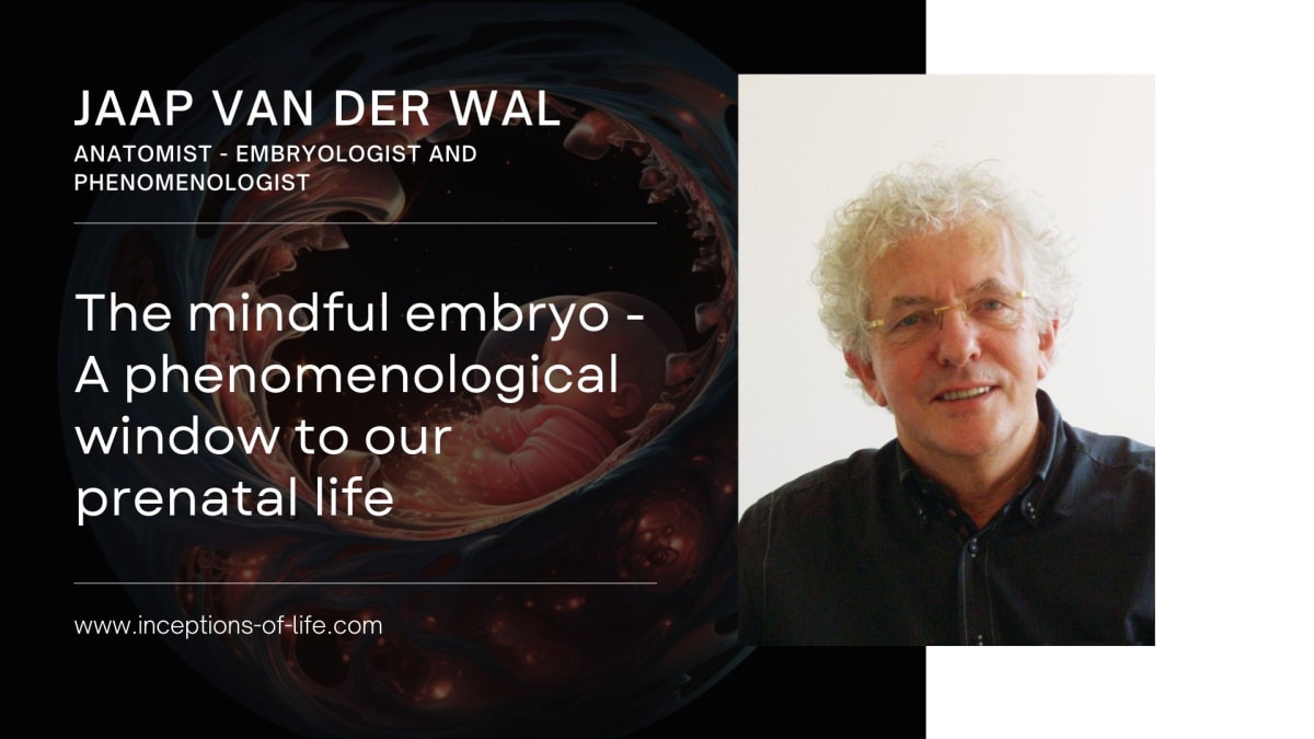 Jaap van der Wal: The mindful embryo - A phenomenological window to our prenatal life