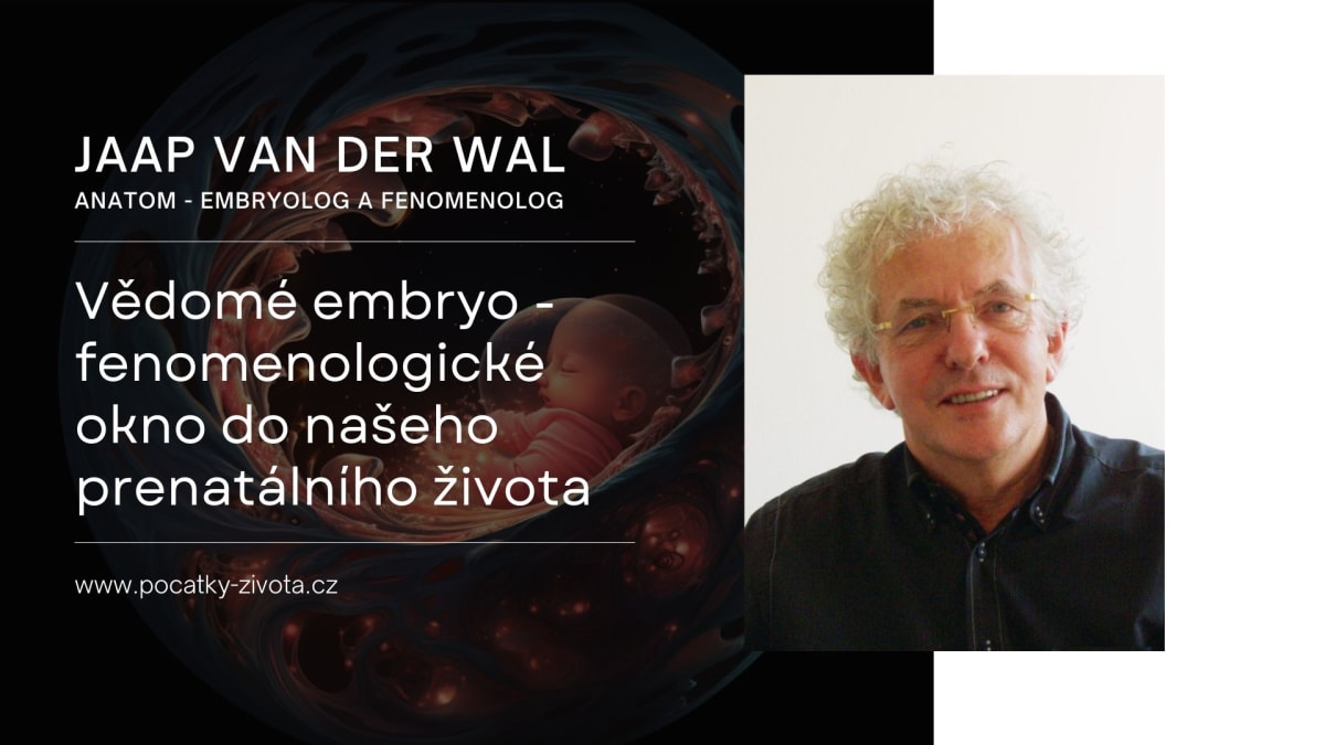 Jaap van der Wal: Vědomé embryo - fenomenologické okno do našeho prenatálního života