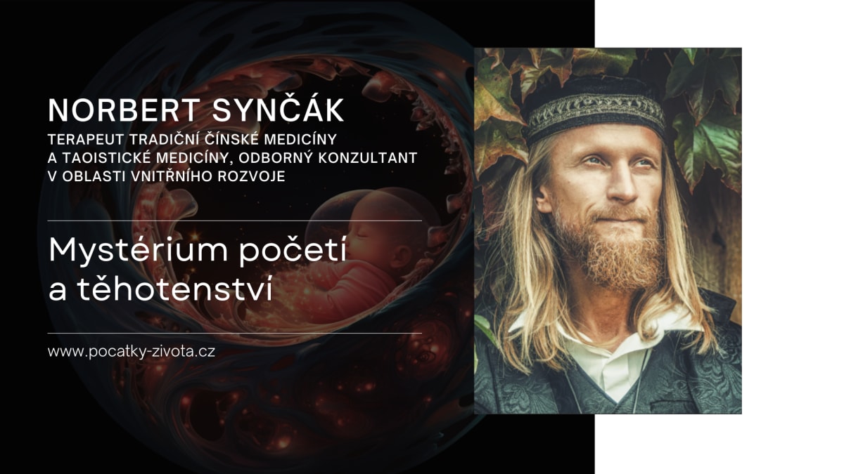 Norbert Synčák: Mysterium početí a těhotenství