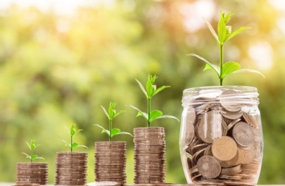 Finanční gramotnost podle přírodních zákonů