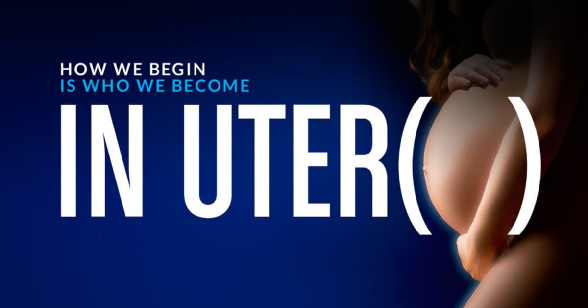 IN UTERO - Jak začínáme, takovými se stáváme (dokument a beseda)