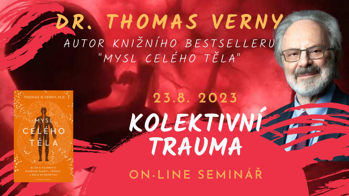 KOLEKTIVNÍ TRAUMA