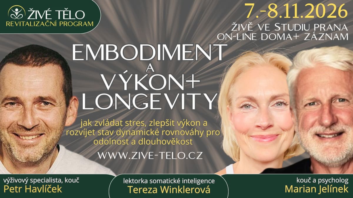 Embodiment, výkon a longevity