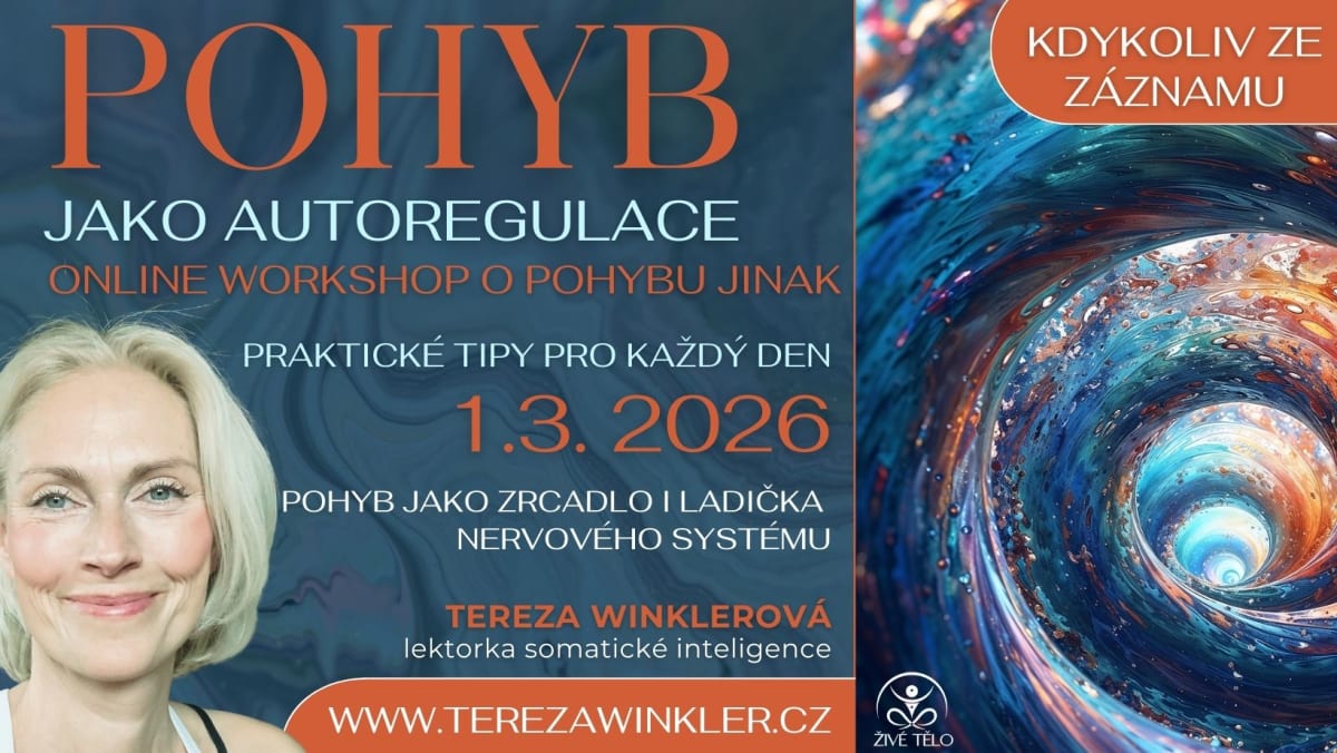 POHYB JAKO AUTOREGULACE