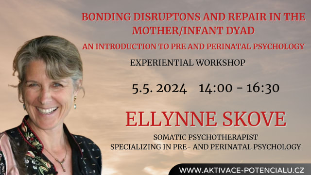 Bonding disruptons and repair in the mother/infant dyad