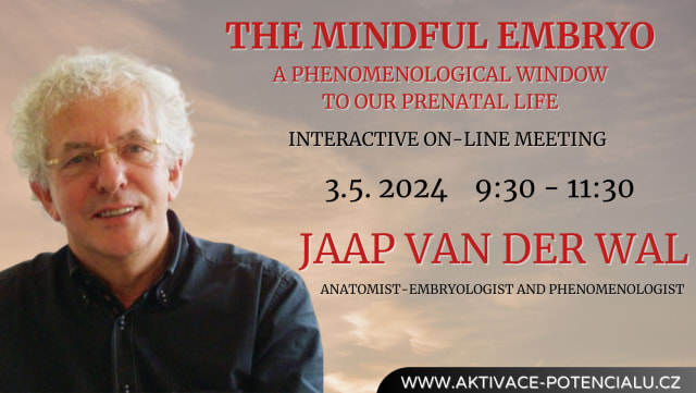 The mindful embryo - A phenomenological window to our prenatal life