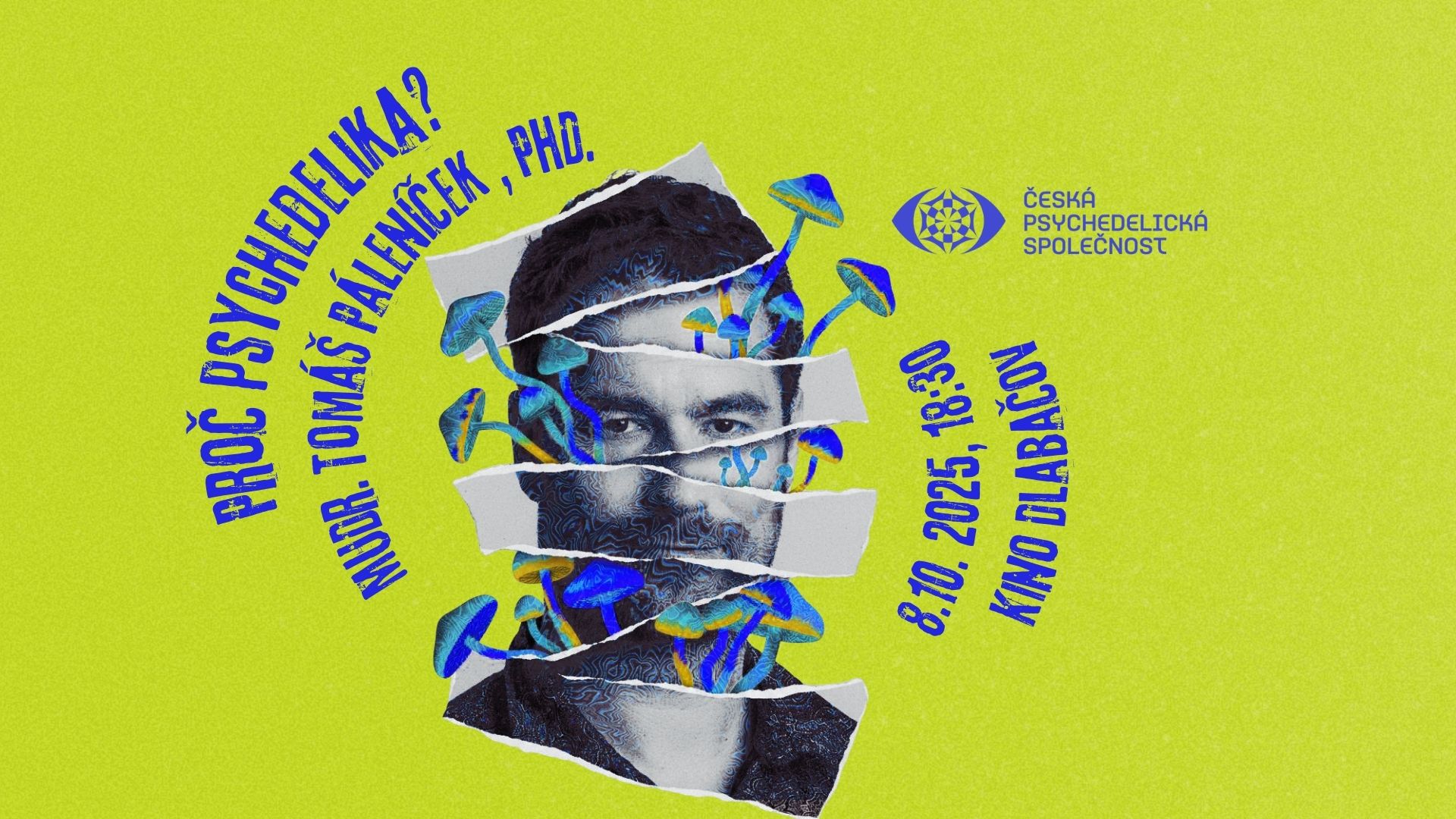 Tomáš Páleníček - Proč psychedelika?