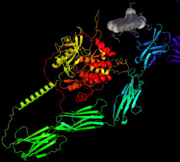 Oncogenomics