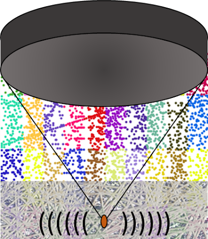 Computational biomechanics