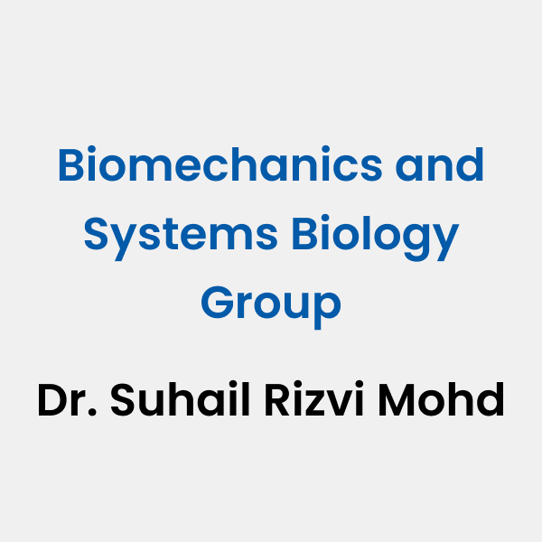 Biomechanics and Systems Biology Group