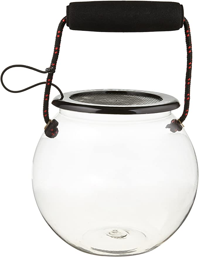 Dry Branch Sports Design Catch and Release Beach Aquarium Kit: Toys & Games